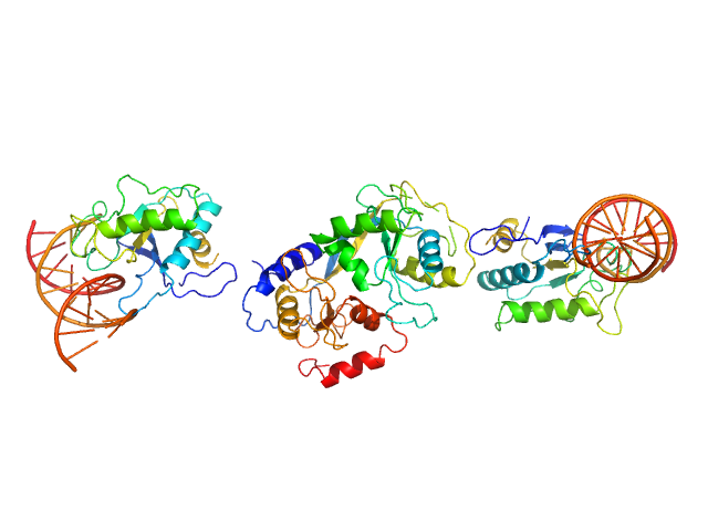 SASREF model