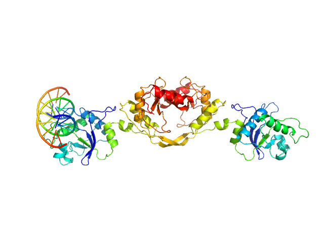 cognate hemimethylated 12-bp oligoduplex 5-methylcytosine-specific restriction enzyme A OTHER model