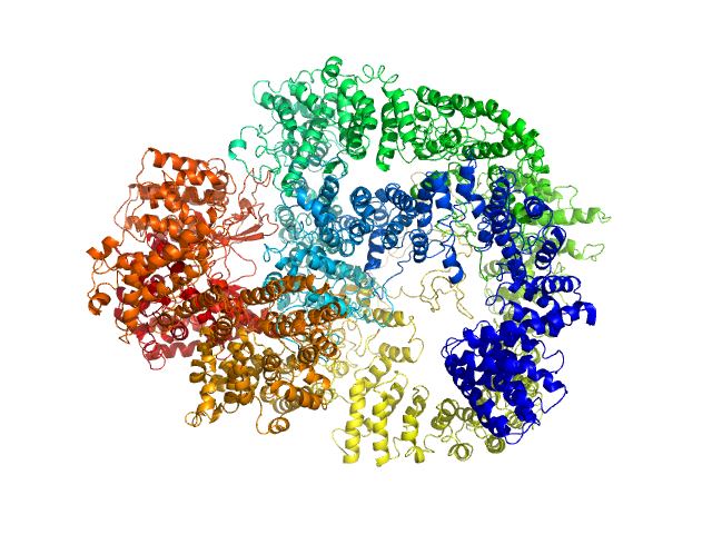 BILBOMD model