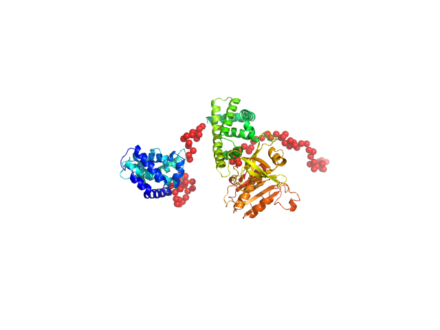 Modular nanotransporter with a melanocyte stimulating hormone ligand module EOM/RANCH model