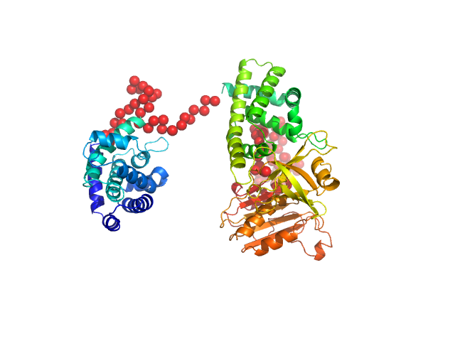 Modular nanotransporter with a melanocyte stimulating hormone ligand module EOM/RANCH model