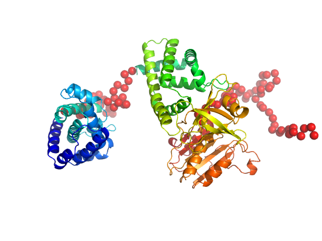 Modular nanotransporter with a melanocyte stimulating hormone ligand module EOM/RANCH model