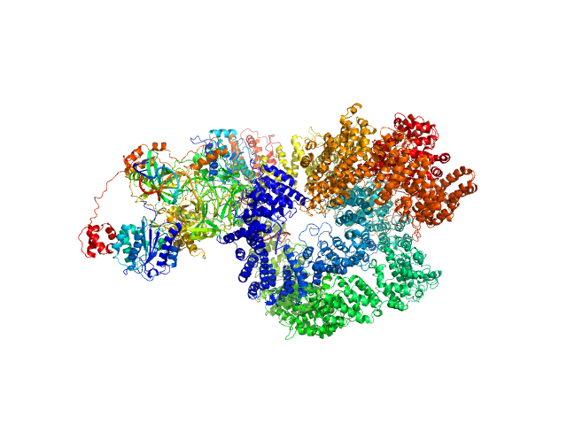 BILBOMD model