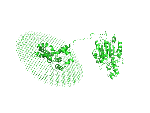 YhbX/YhjW/YijP/YjdB family protein (L152F) OTHER model