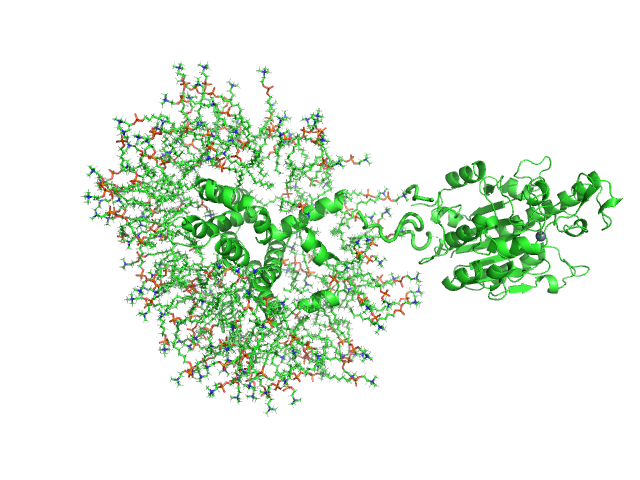 YhbX/YhjW/YijP/YjdB family protein (L152F) OTHER model