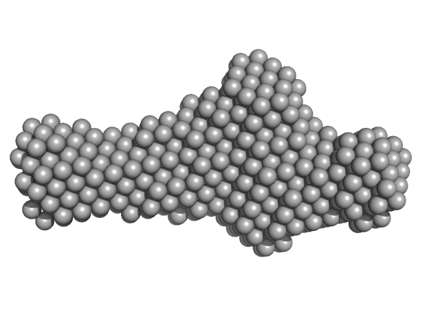 Lung adenocarcinoma aptamer, truncated version DAMMIF model