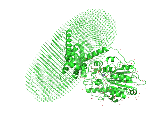 YhbX/YhjW/YijP/YjdB family protein (L152F) MEMPROT model