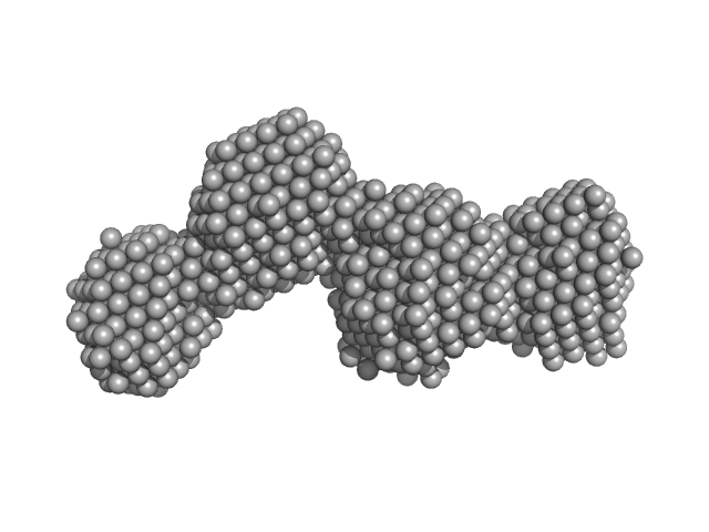 Interferon-activable protein 204 DAMMIF model