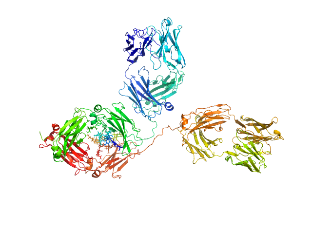 Immunoglobulin G subclass 1 CUSTOM IN-HOUSE model