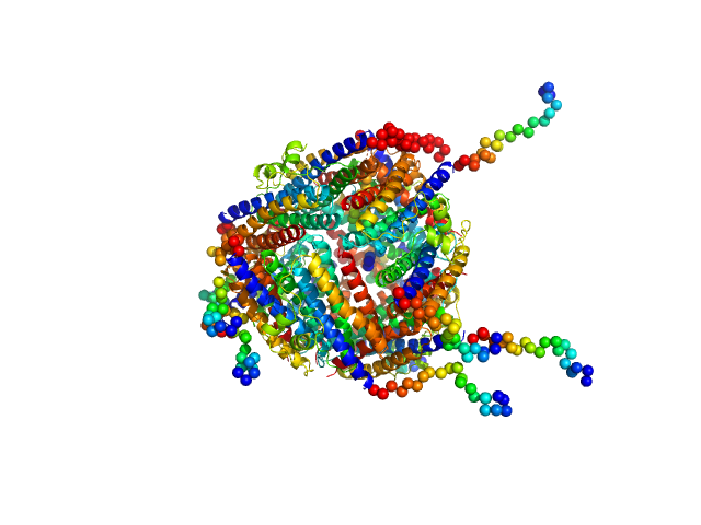 DNA protection during starvation protein CORAL model