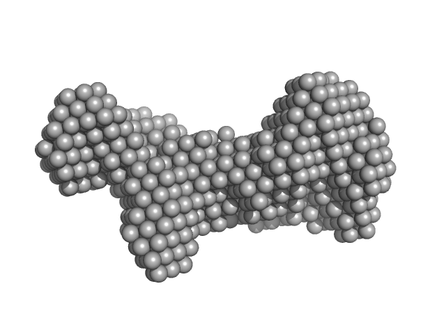 Human Telomere Repeat (TTAGGG)8 DAMMIN model