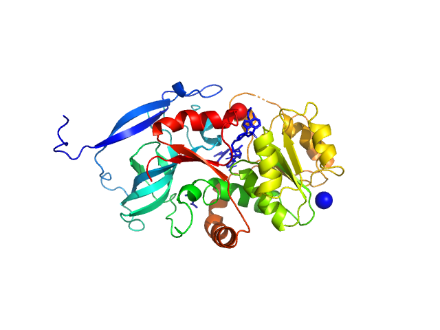 PDB (PROTEIN DATA BANK) model