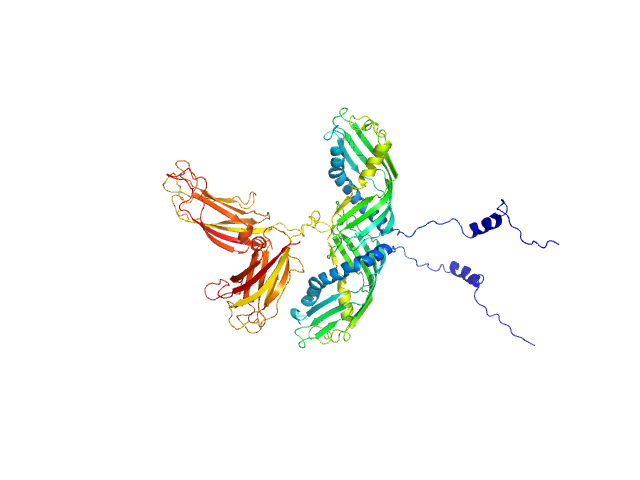 Synaptotagmin-1 (SYT1-SMP2C2A) MULTIFOXS model