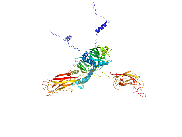 Synaptotagmin-1 (SYT1-SMP2C2A) MULTIFOXS model