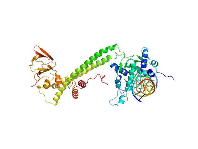 Transcription factor E2F1 15-mer DNA oligo of the human E2F1 promoter E2F dimerization partner 1 CUSTOM IN-HOUSE model