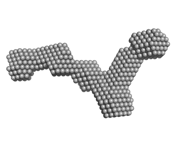 Human Telomere 96mer DAMMIF model