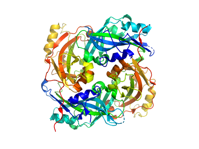 PDB (PROTEIN DATA BANK) model