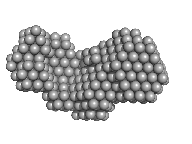 Probable transcriptional regulatory protein (Probably AsnC-family) DAMMIF model