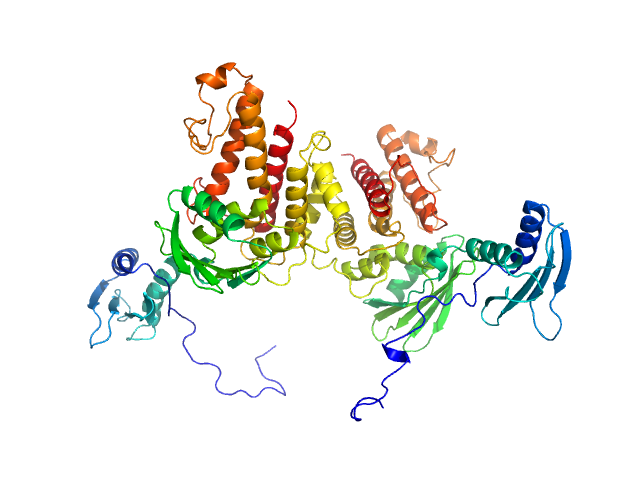 MULTIFOXS model