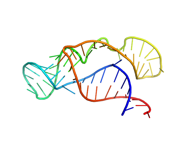 Neurospora Varkud Satellite ribozyme junction II-III-VI PDB (PROTEIN DATA BANK) model