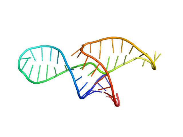 Neurospora Varkud Satellite ribozyme junction III-IV-V OTHER model