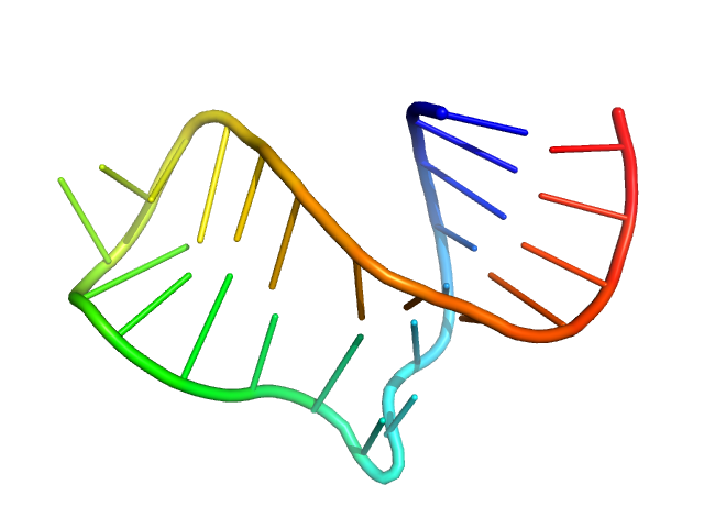 Neurospora Varkud Satellite ribozyme stem-loop VI OTHER model