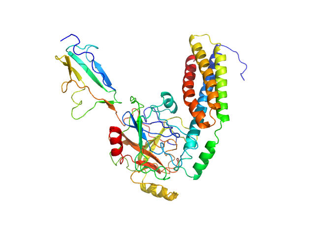 PYMOL model