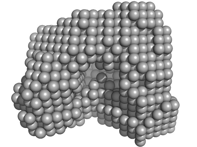 Alpha-L-fucosidase DAMMIN model