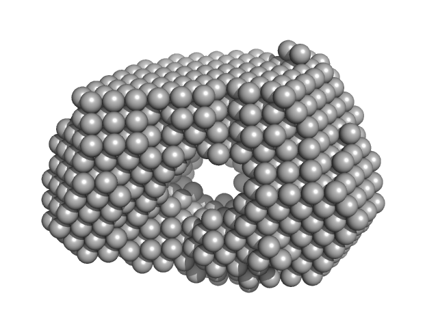 Alpha-L-fucosidase H503A DAMMIN model