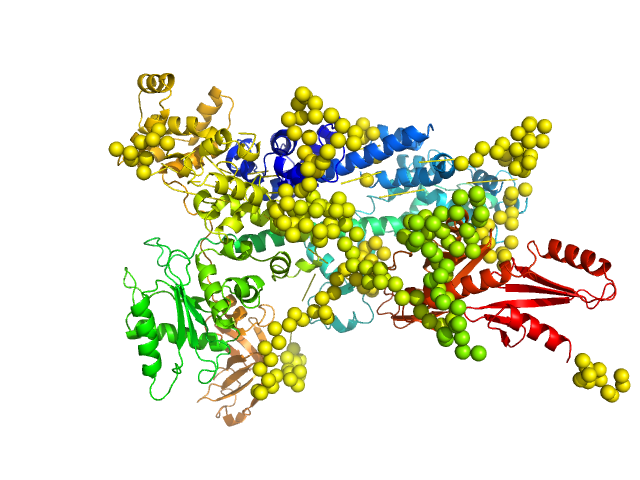 Transcription elongation factor SPT6 EOM/RANCH model