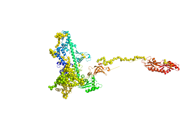 Transcription elongation factor SPT6 EOM/RANCH model