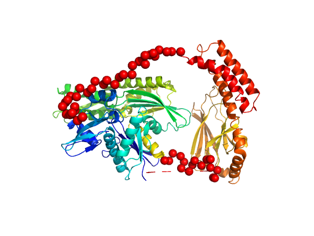 Heat shock cognate 71 kDa protein EOM/RANCH model