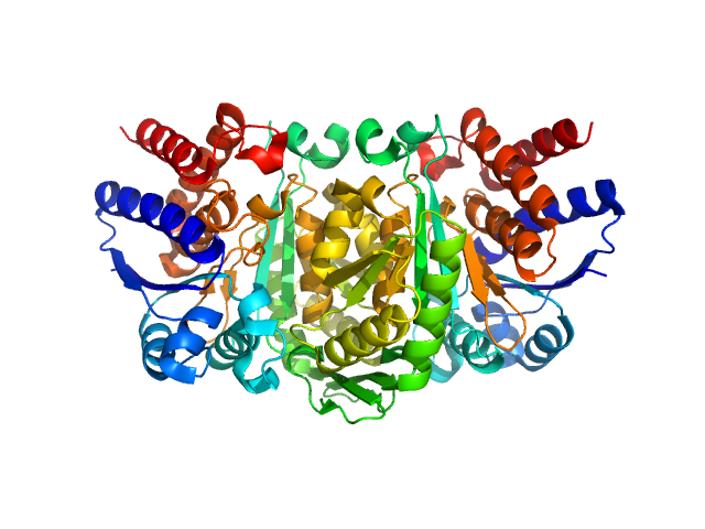 3-isopropylmalate dehydrogenase PDB (PROTEIN DATA BANK) model