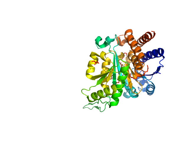 PDB (PROTEIN DATA BANK) model
