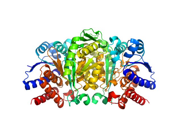 3-isopropylmalate dehydrogenase PDB (PROTEIN DATA BANK) model
