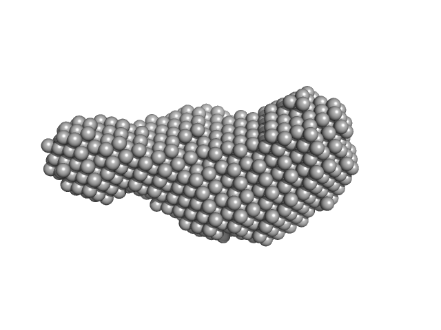 hybrid RTX-2 construct (amino acids 1132-1303 and 1562-1681 of CyaA) DAMMIF model