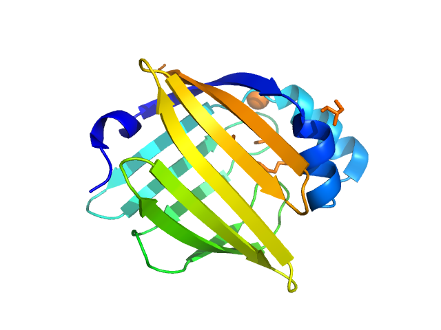 Myelin P2 protein PDB (PROTEIN DATA BANK) model