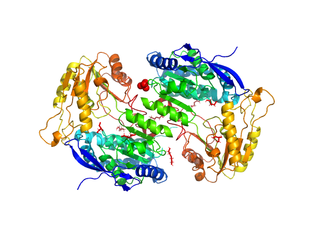 2-aminomuconic 6-semialdehyde dehydrogenase PDB (PROTEIN DATA BANK) model