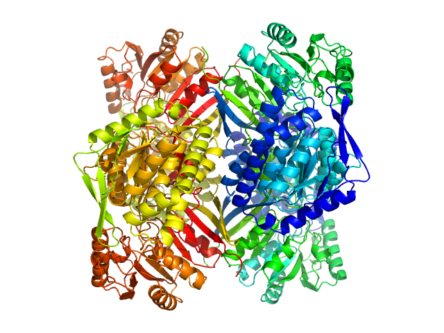2-aminomuconic 6-semialdehyde dehydrogenase PDB (PROTEIN DATA BANK) model