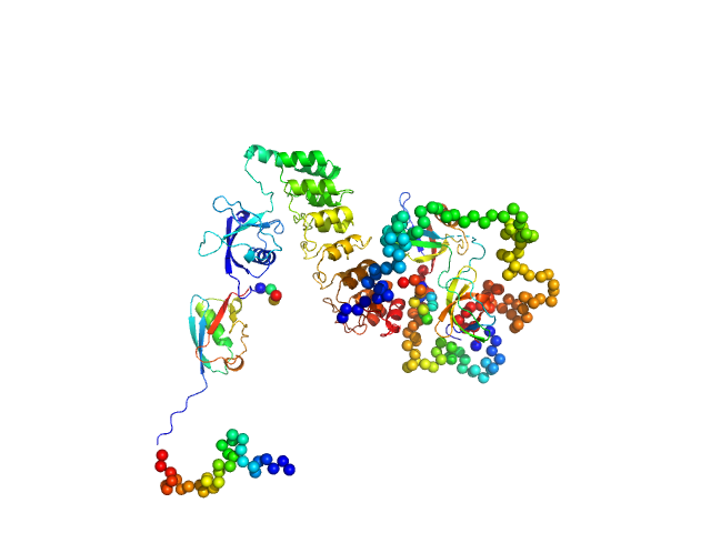 SH3 and multiple ankyrin repeat domains protein 3 CORAL model