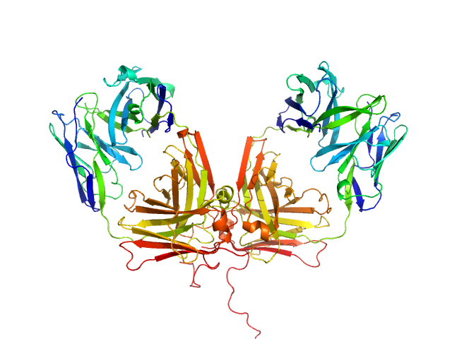 ChiLob 7/4 IgG2 F(ab)2 C228S mutant MOLECULAR DYNAMICS FRAME model