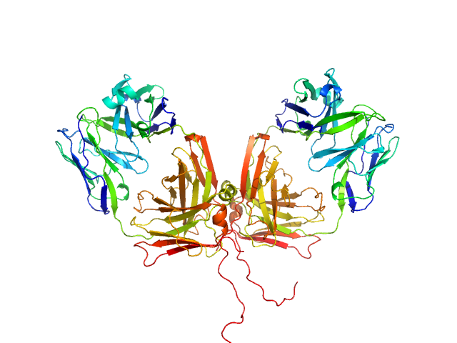 ChiLob 7/4 IgG2 F(ab)2 C224S/kC214S mutant MODELLER model