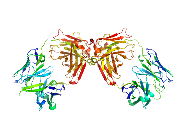 ChiLob 7/4 IgG2 F(ab)2 C224S/kC214S mutant SREFLEX model