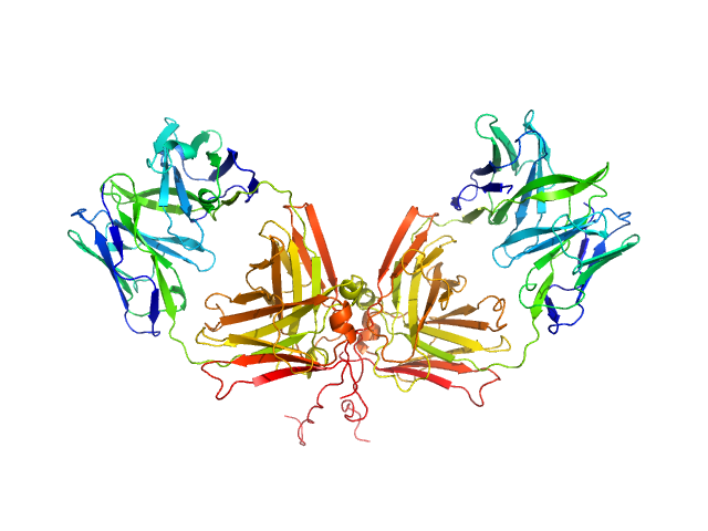 ChiLob 7/4 IgG2 F(ab)2 C224S/kC214S mutant MOLECULAR DYNAMICS FRAME model