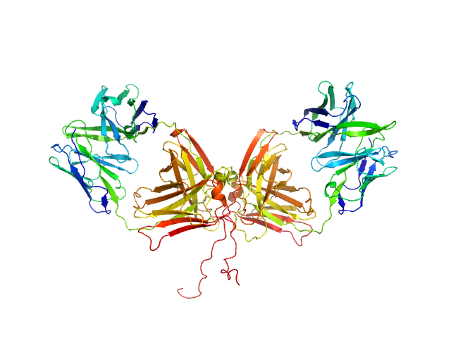 ChiLob 7/4 IgG2 F(ab)2 C224S/kC214S mutant MOLECULAR DYNAMICS FRAME model