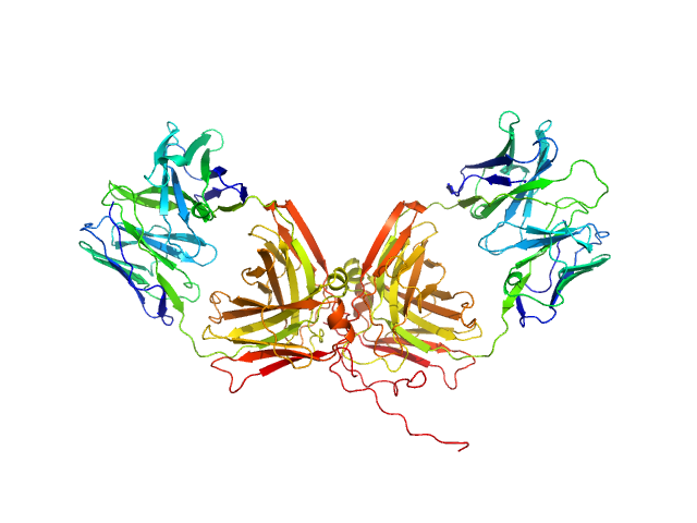 ChiLob 7/4 IgG2 F(ab)2 C224S/kC214S mutant MOLECULAR DYNAMICS FRAME model