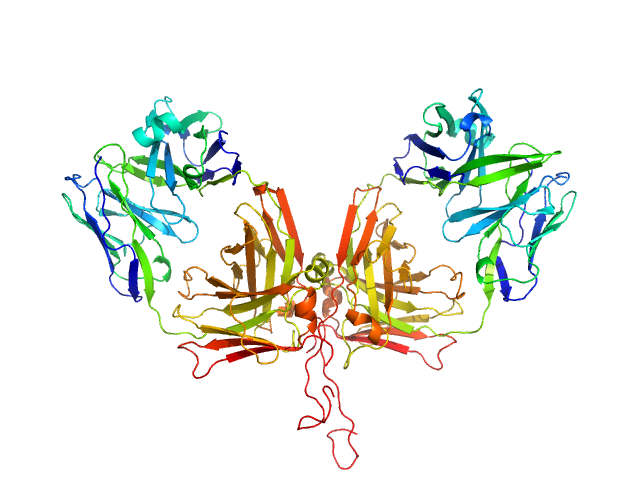 ChiLob 7/4 IgG2 F(ab)2 C225S/kC214S mutant MODELLER model