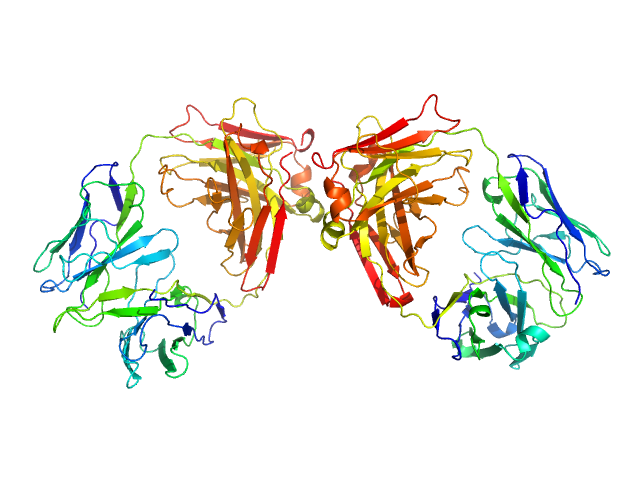 ChiLob 7/4 IgG2 F(ab)2 C225S/kC214S mutant SREFLEX model