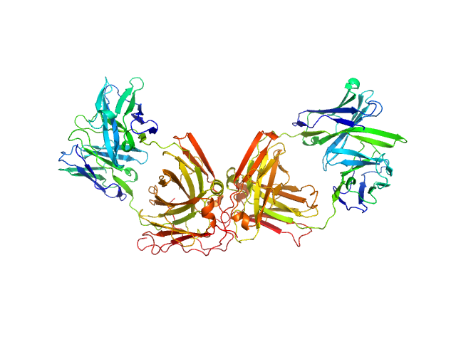 ChiLob 7/4 IgG2 F(ab)2 C225S/kC214S mutant MOLECULAR DYNAMICS FRAME model