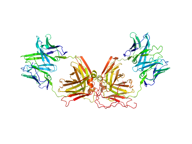 ChiLob 7/4 IgG2 F(ab)2 C225S/kC214S mutant MOLECULAR DYNAMICS FRAME model